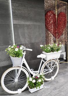 a white bicycle with flower pots on the front