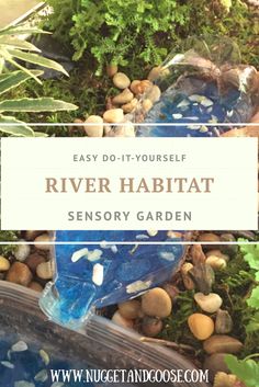 the river habitat with text overlay that reads easy do - it - yourself river habitat