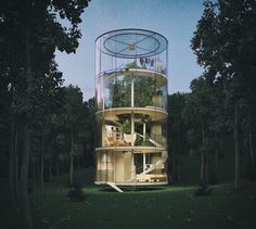 a round glass house in the middle of a forest with stairs leading up to it