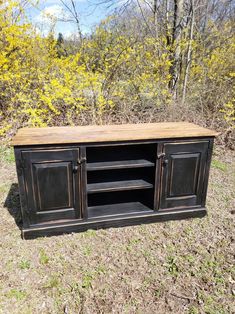 an entertainment center in the middle of a field