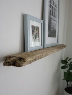 two framed pictures are hanging on the wall above a shelf with a driftwood log