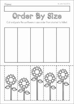 an order by size worksheet with sunflowers in the middle and bottom