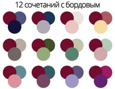 an image of different colors in the shape of circles