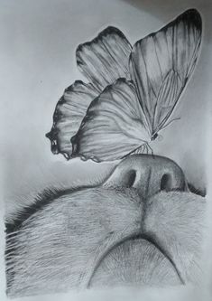 a drawing of two butterflies on top of a dog's head with its eyes closed