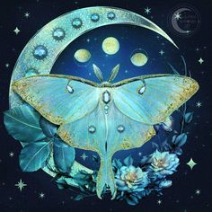 a painting of a butterfly sitting on the moon