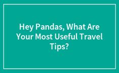 the words hey pandas, what are your most useful travel tips? on a green background