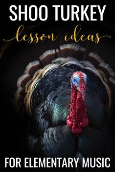 a turkey with the words shoo turkey lesson ideas for elementary music students