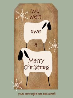 two white sheep standing next to each other with snowflakes on the bottom and words we wish ewe a merry christmas