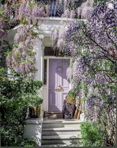 the instagram page shows an image of a house with purple flowers growing on it