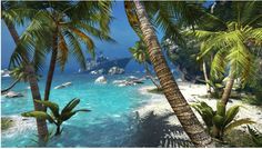 an image of a tropical beach scene with palm trees