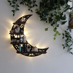 a wall mounted shelf with candles and bottles on it next to a potted plant