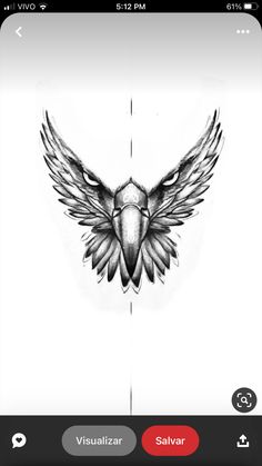 an image of a bird with wings drawn on it's back and the words visualiza