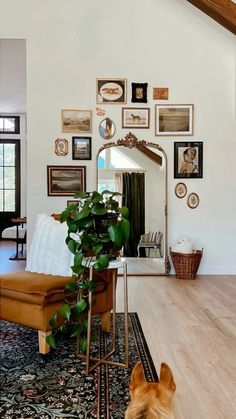 a living room with a couch, mirror and potted plant on the floor in front of it