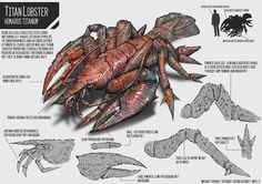 an image of a giant crab with different parts