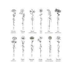 the different types of flowers are shown in black and white on a sheet of paper