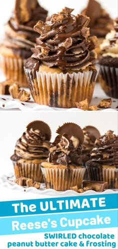 the ultimate reese's cupcake recipe with peanut butter and chocolate frosting