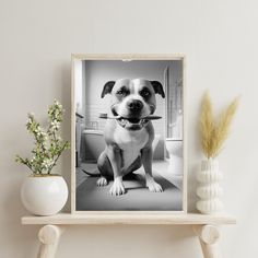 a black and white photo of a dog with a stick in it's mouth