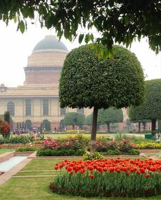 a large building sitting next to a lush green field filled with red and yellow flowers