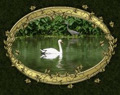 two white swans swimming in a pond surrounded by greenery and gold trimmings