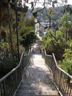 stairs lead up to the top of a hill with trees and bushes on both sides