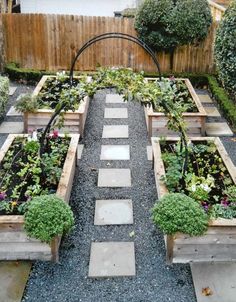 an outdoor garden with various plants and stepping stones