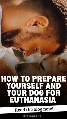 A Guide on How to Prepare your Dog and Yourself for Euthanasia -- Pet Loss	How to Prepare Yourself and Your Dog for Euthanasia Dog Euthanasia, Words Of Condolence, Sympathy Messages, Pet Cemetery, Feeling Empty, Dog Parents, To Say Goodbye, Beloved Dog, Losing A Pet