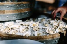 a bunch of oysters that are sitting on some ice in a bucket and being held by someone's hand