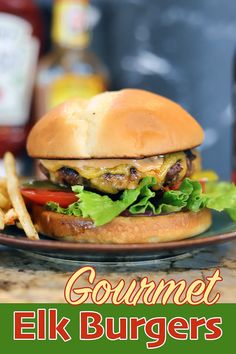 a hamburger sitting on top of a plate next to french fries