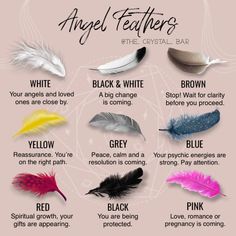 Feather Color Meaning, Feather Magic, Finding Feathers, Feather Tattoo Meaning, Feather Meaning, Angel Feather, Angel Feathers, Witch Spirituality, Magic Spell Book