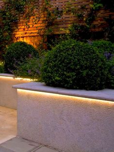 an outdoor area with plants and lights on the side of the wall, along with concrete planters