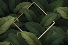 a black and green leafy background with a gold geometric frame