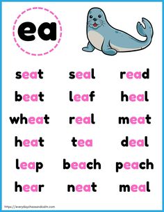 the word ee is for sea animal and it has an image of a seal on it