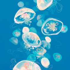 some jellyfish are swimming in the water