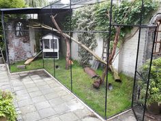 Rabbit House Outdoor, Outdoor Rabbit Run, Rabbit Enclosure, Rabbit Habitat, Katt Grejer, Rabbit House, Cat Patio, Outdoor Cat Enclosure, Rabbit Cages