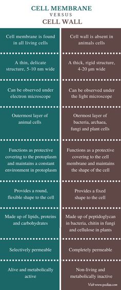 the differences between gel membrane and gel membrane