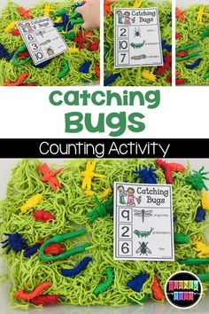 counting bugs activity for kids to practice counting