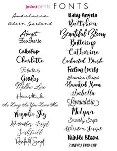 some type of font that is in different styles and colors, with the names below it