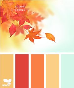 an image of autumn leaves with color swatches