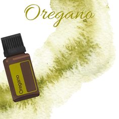 Oregano Essential Oil, Essential Oil Diffuser Blends Recipes, Oregano Oil, Essential Oil Diffuser Blends, Oil Diffuser Blends