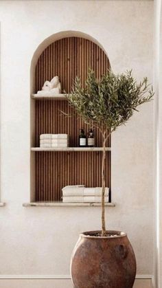 a potted plant sitting on top of a wooden shelf