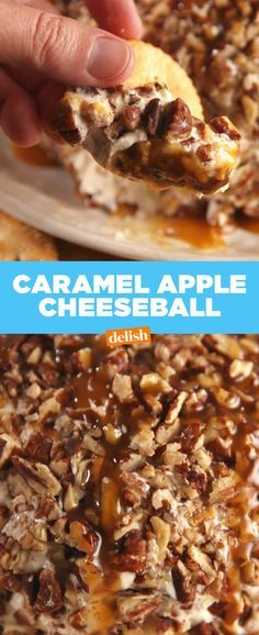 a close up of a person holding a piece of bread with caramel apple cheeseball on it