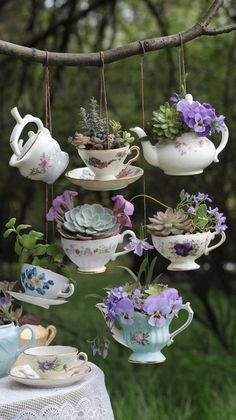 tea cups and saucers hanging from a tree branch