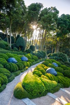 the sun shines through the trees and bushes in this garden design, which is designed to look like an earthen landscape