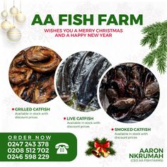 an advert for aa fish farm with three different types of seafood and christmas decorations