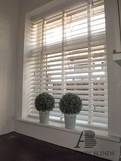 two potted plants are sitting on the window sill in front of the blinds