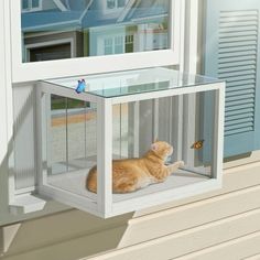 an orange cat sitting in a cage on the outside of a window sill next to a butterfly