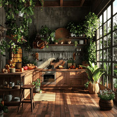 a kitchen filled with lots of potted plants