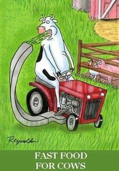 a cow riding on the back of a red lawn mower