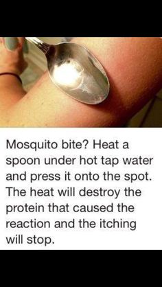 Mosquito bite remedy Remedies For Mosquito Bites, 1000 Lifehacks, Sick Remedies, Mosquito Bites, Survival Skills Life Hacks, Survival Life Hacks, Mosquito Bite, Survival Life, Everyday Hacks