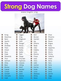 a poster with the words strong dog names